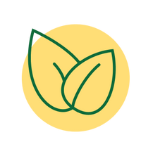 Vegan